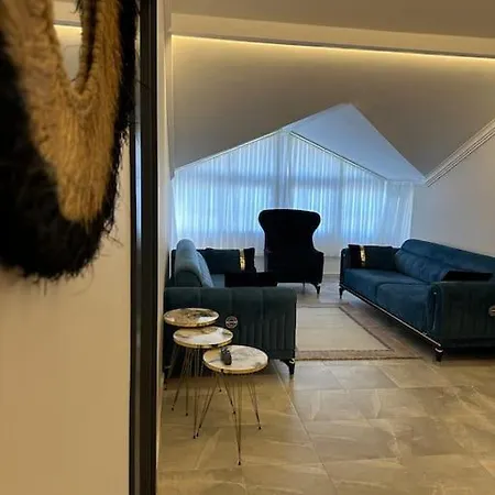 Apartment Camelia House